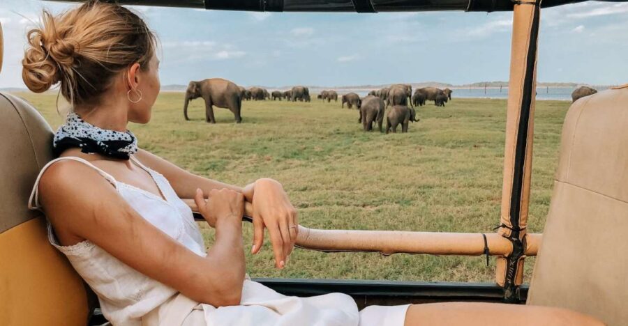 Minneriya National Park Safari in a 4×4