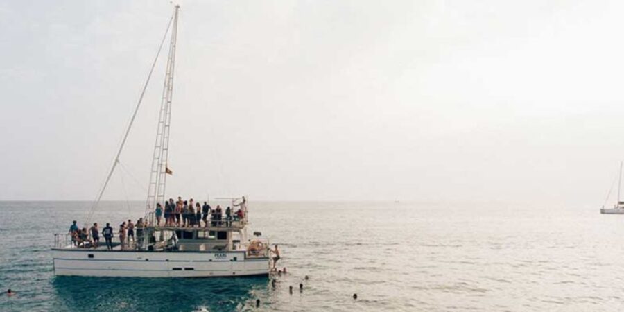 Mirissa: Whale & Dolphin Sightseeing Cruise
