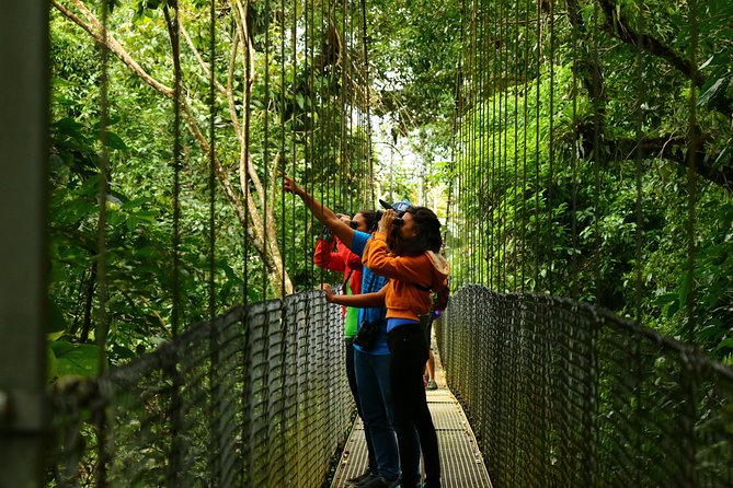 Mistico Hanging Bridges Park From La Fortuna