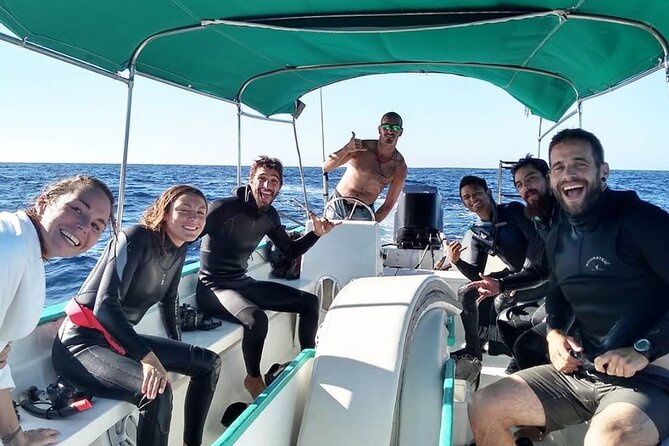 Mobula Ray Ocean Safari Day Trip - Trip Overview