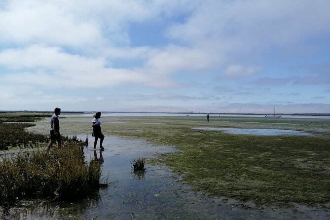 Moliceiro Boat Tour Through the Ria De Aveiro!