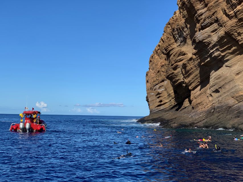 2 Best Tours In Wailea