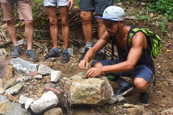 Monkey Mountain Jungle Hike Adventure
