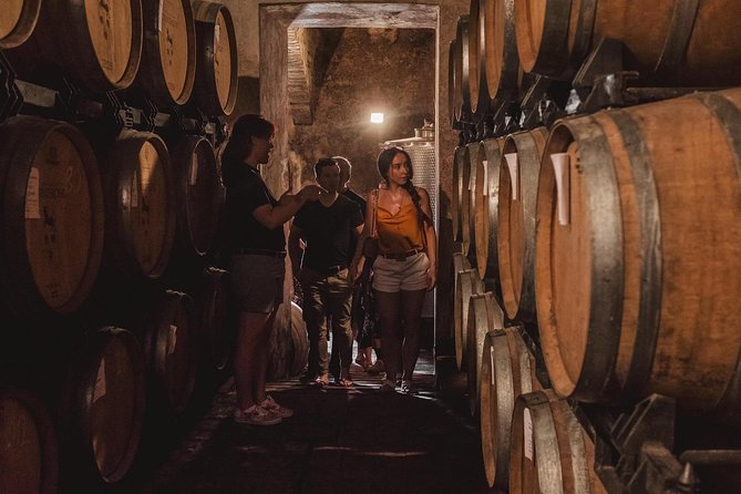 Montalcino Castle and Vineyards Tour With Tasting
