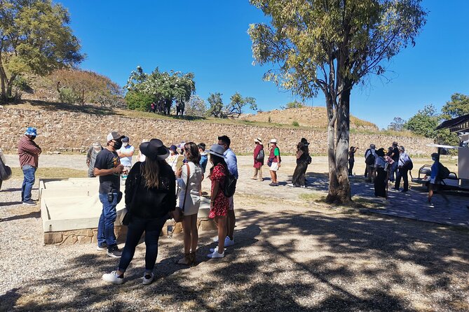 Monte Alban - Full Day Guided Tour With or Without Food - Oaxaca