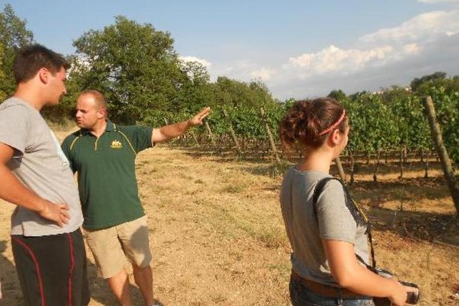 Montefalco: Winery and Oil Mill Tour in With Light Lunch - Tour Overview