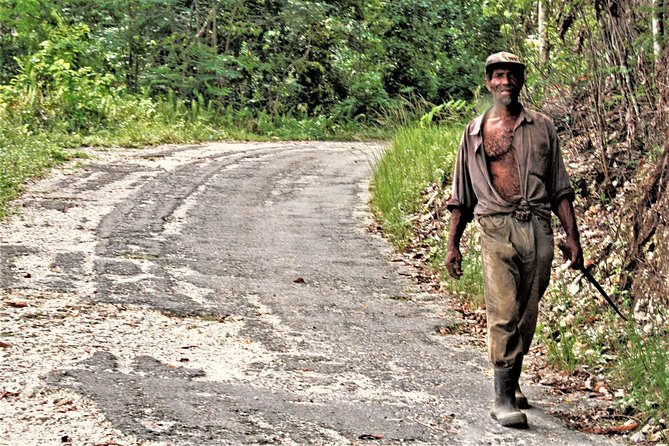 Montego Bay Highlights Heritage Tour From Montego Bay Hotels
