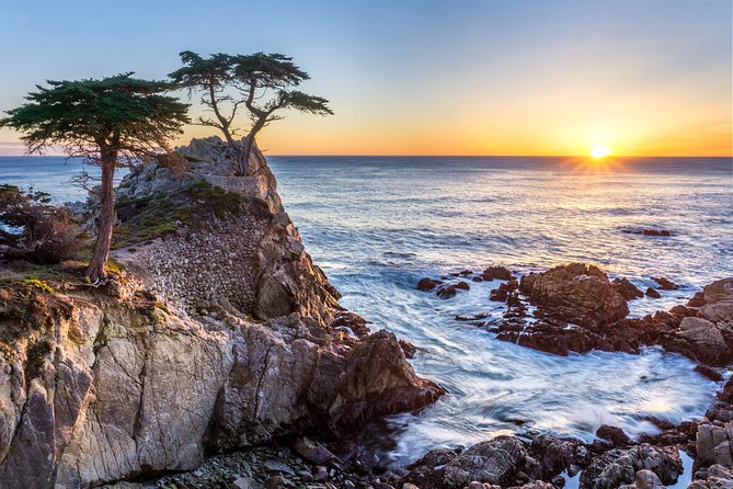 Monterey, Carmel and 17-Mile Drive: Full Day Tour From SF