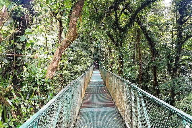 Monteverde Hanging Bridges Day Trip From San Jose