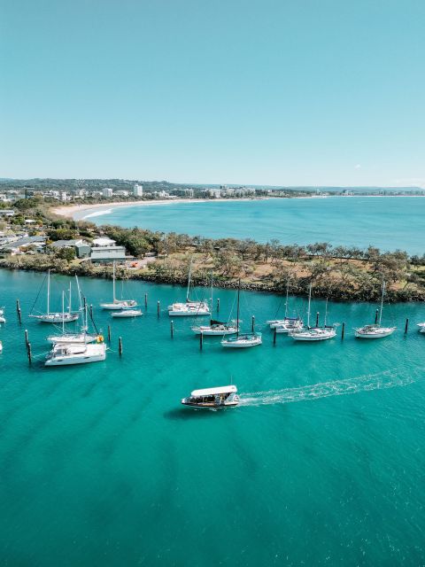 Mooloolaba: Adventure Rafting Turtle Tour