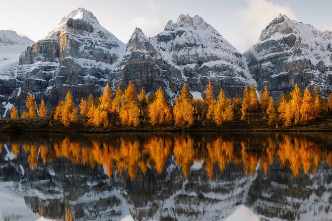 Moraine Lake & Lake Louise Sunset & Wildlife Adventure - Tour Overview