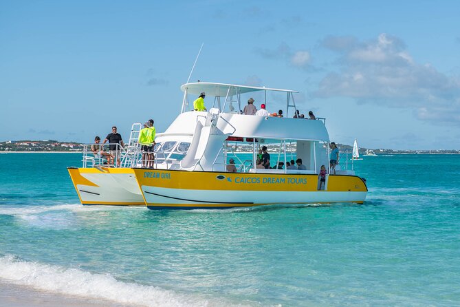 Morning Half Day Cruise From Providenciales With Snorkeling and Iguana Island