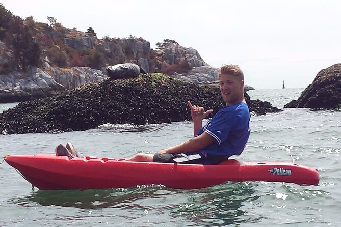 Morning Kayak & Seal Cruise