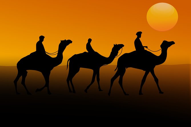 Morning Safari In Abu Dhabi