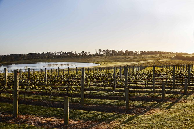 Mornington Peninsula Food and Wine Taste Trail
