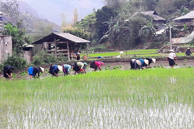 Motorcycle Tour of Ha Giang Loop, 4d/3n All-Inclusive
