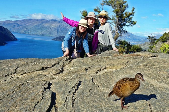 Mou Waho Island Cruise and Guided Nature Walk - Overview and Experience