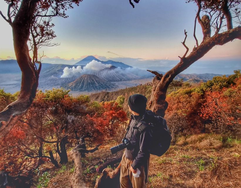 Mount Bromo Sunrise and Madakaripura Waterfall 1 Day Tour