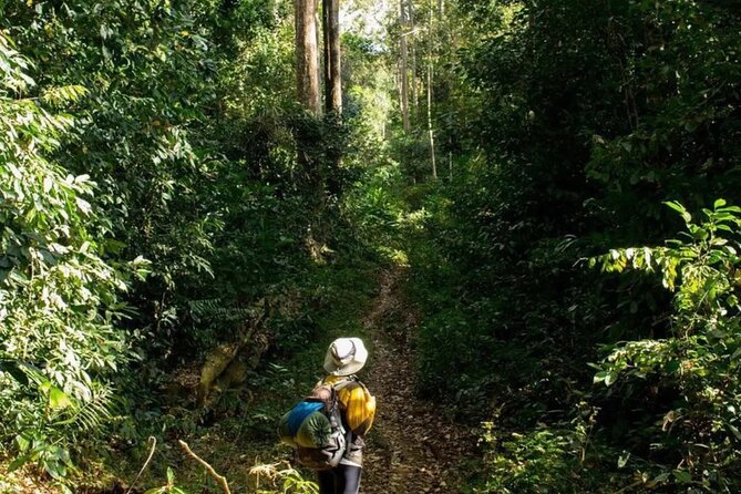 Mount Fansipan 2 Days Trek – Roof of Indochina