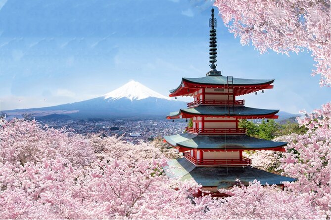 Mount Fuji/Hakone/Tokyo Private Charter Car Tour 10 Hours