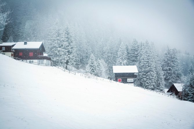 Mount Rigi Winter Day Trip From Zurich - Overview of the Winter Day Trip