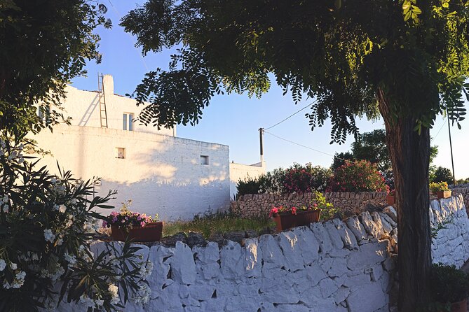 Mozzarella Experience - Cheese Tour and Tastings at Masseria Fragnite - Overview of the Mozzarella Experience
