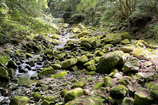 Mt. Inunaki Trekking and Waterfall Training in Izumisano Osaka