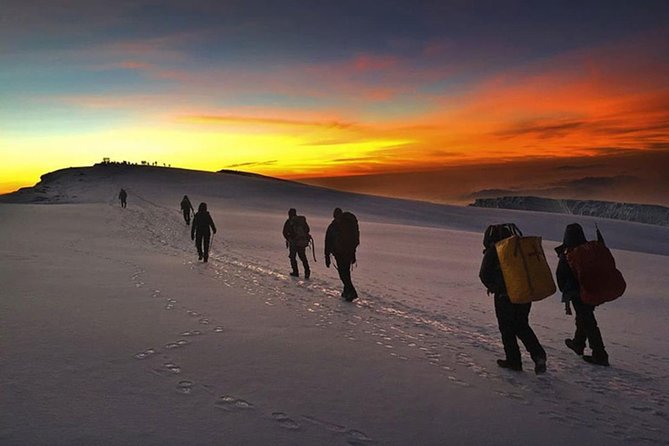 Mt Kilimanjaro Trekking (The Northern Circuit Route)