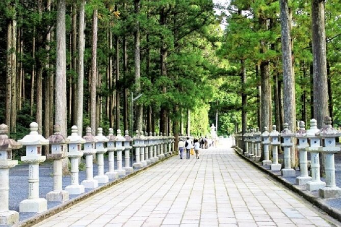 Mt Koya 2-Day Private Walking Tour From Kyoto