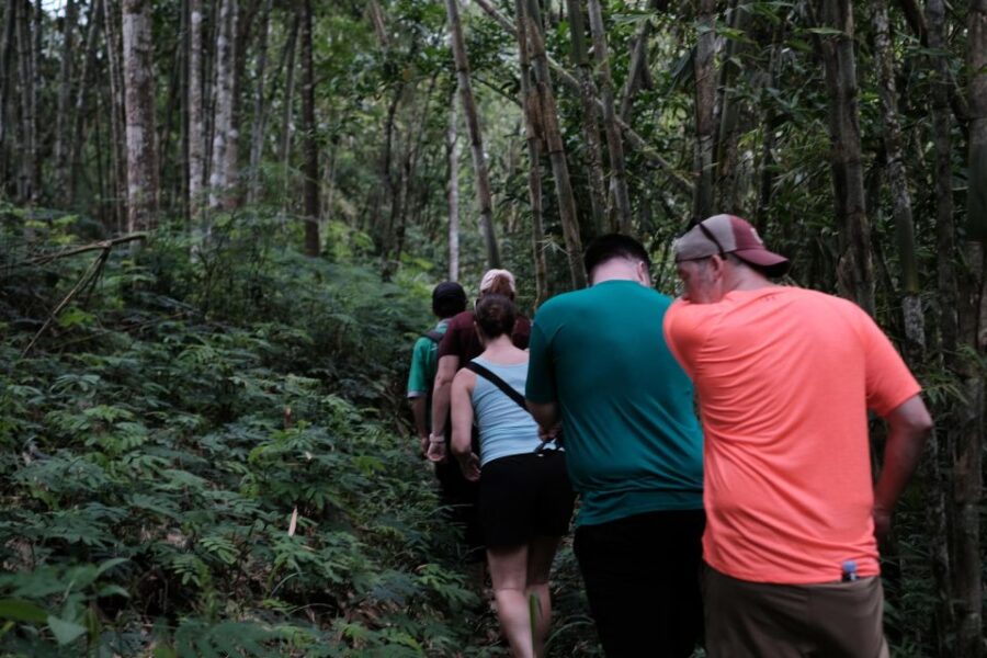 Mt. Merapi Majesty: Soft Trek and Botanic Village Tour - Tour Overview