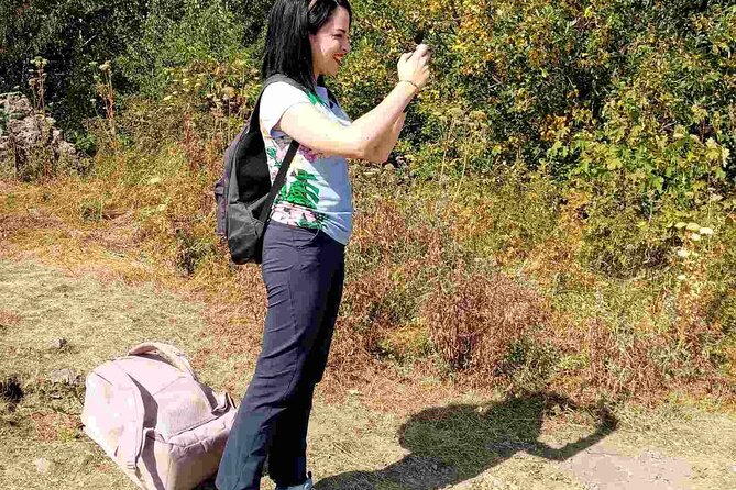 Mt. Vitosha and Boyana Waterfall Hiking Tour From Sofia - Hiking Experience and Difficulty