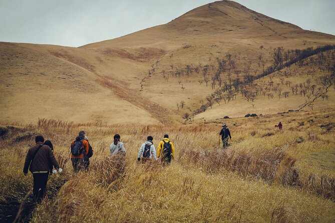 Mt. Yufu Grassland Private Hiking and Lunch