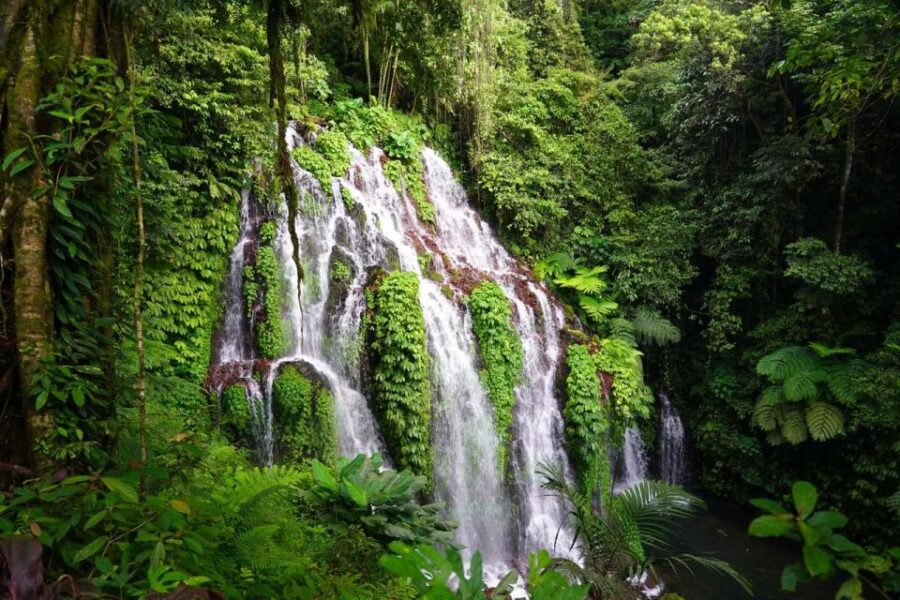 4 Best Tours In Munduk