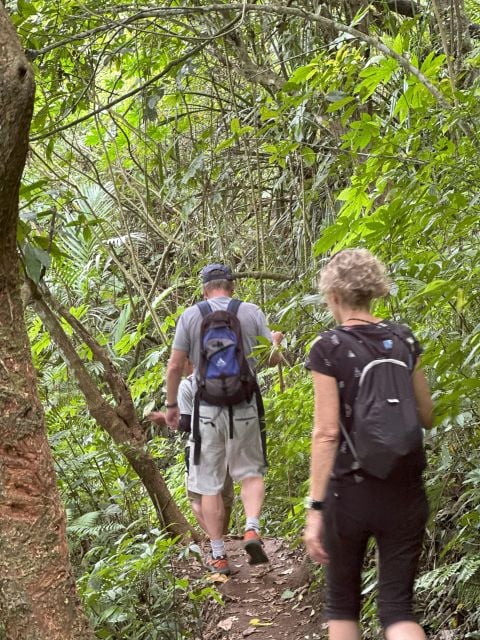 Munduk Sunrise, Jungle Trek, Canoe & Waterfall