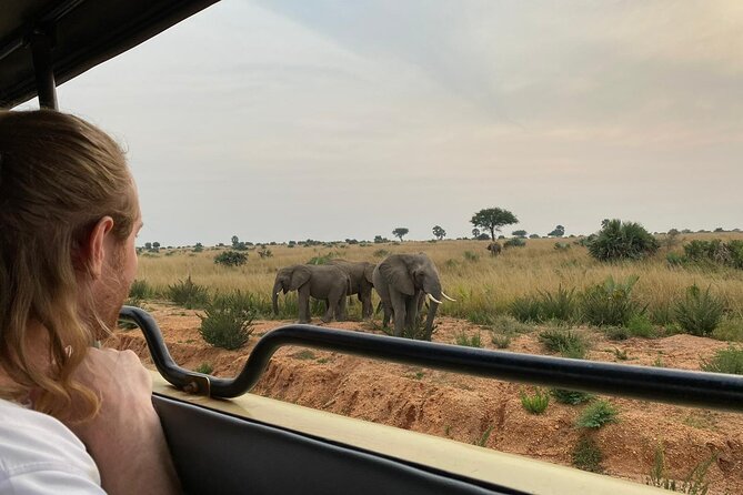 Murchison Falls National Park - 3 Days