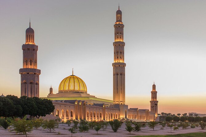 Muscat City Tour Half Day - Inclusions and Logistics