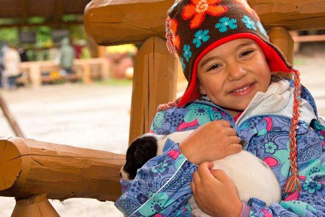 Mushers Camp and Smore Roasting Experience