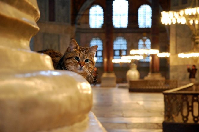 Must – See Istanbul Stops 1: Half Day Morning Tour