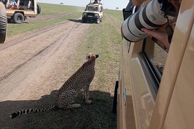 Nairobi Park Wildlife Safari - Overview of the Safari