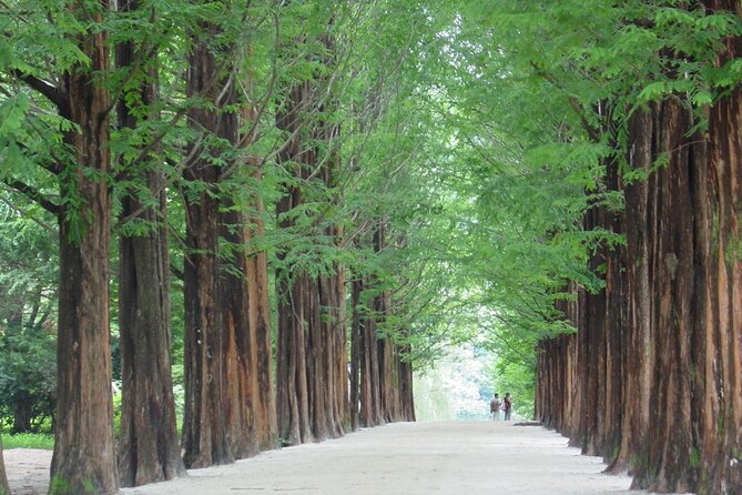 Nami Island & Mount Seorak Day Trip From Seoul