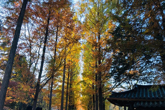 Nami Island+Alpaca+Gapyeong Rail Bike+Garden of Morning Calm