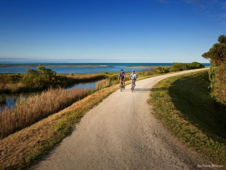 Napier: Cape Coast Winery Tour on Pedal or E-Bikes