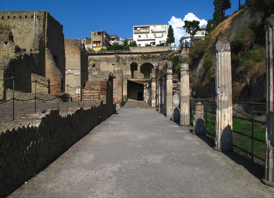 Naples: Pompeii & Herculaneum Tour With Lunch & Wine Tasting