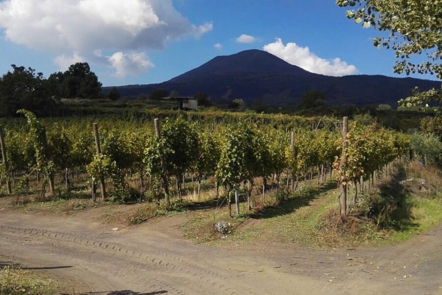 Naples: Pompeii Private Guided Hiking Tour