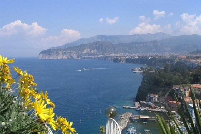 Naples Shore Excursion: Pompeii and Sorrento Day Trip - Tour Overview