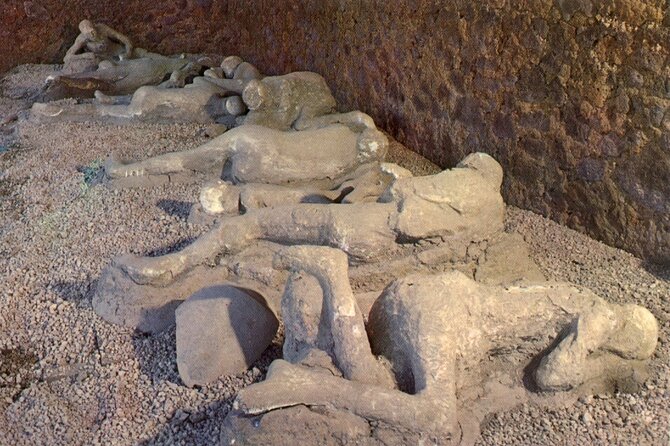 Naples Shore Excursion: Pompeii Independent Half-Day Trip - Overview and Experience