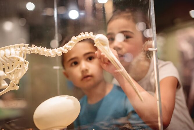 National Kiwi Hatchery - Kiwi Encounter Tour - Educational Aspects