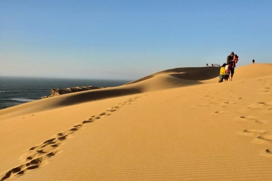 National Park & Sahara Desert With Lunch and Camel Ride