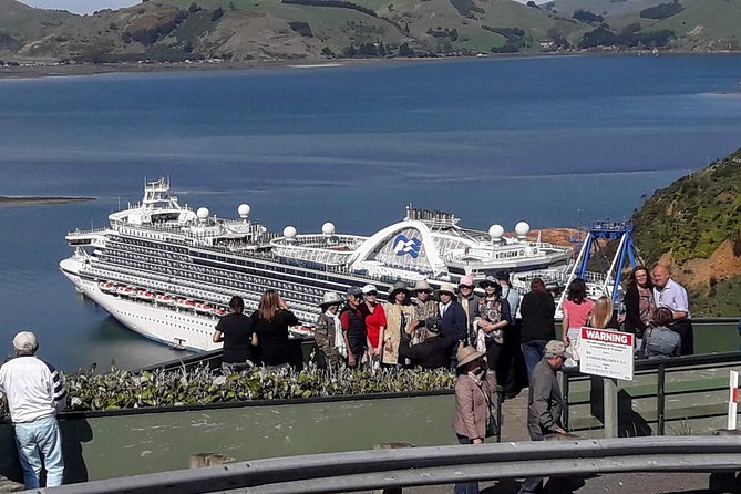 5 Best City Tours In Port Chalmers