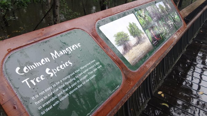 Nature Tour